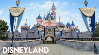 The Disneyland Review