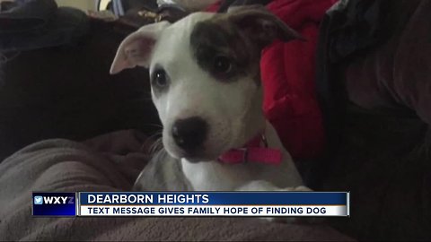 Dearborn Heights family hopeful after receiving chilling text message about their missing dog
