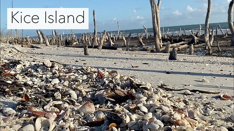 Island Hopping Looking for Shells. Florida Gulf Coast Shelling.