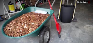 Ex-employee paid final paycheck in pennies
