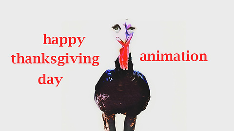 Turkey Bird Say - Happy Thanksgiving Day!