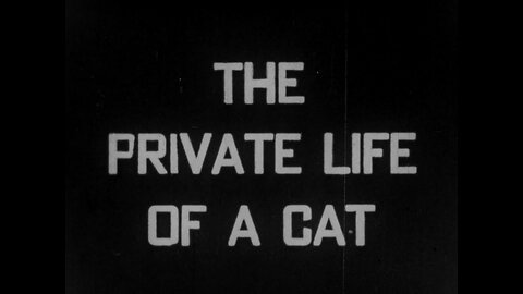 The Private Life Of A Cat (1946 Original Black & White Film)