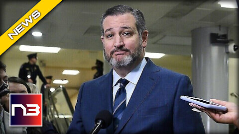 Ted Cruz's Response to Mask-Shaming Reporter is Going VIRAL