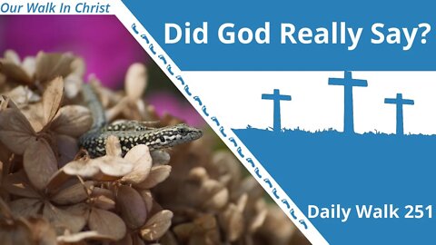 Has God Really Said? | Daily Walk 151