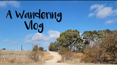 Wandering & Barossa Valley Farmer's Market Gratitude Vlog