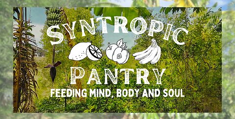 Welcome to Syntropic Pantry
