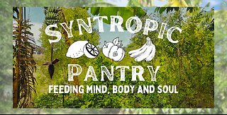 Welcome to Syntropic Pantry