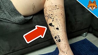 Smear COFFEE on your Legs and WATCH WHAT HAPPENS 💥 (Amazing) 🤯