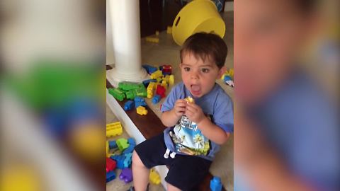 A Tot Boy Tastes A Deviled Egg For The First Time