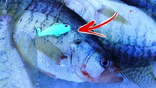 Crappie Can't Resist this Pre-Spawn Lure (Lipless Crankbait)