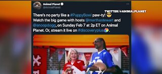 Snoop Dogg and Martha Stewart to host Puppy Bowl