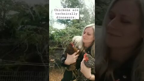 3 Fun Chicken Facts Starring Skittles and Ruth!!