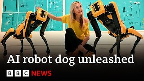 Al robot dogs take bullets to save humans, sayengineers | BBC News