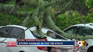 Storm damage in the Tri-State