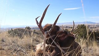 Success in Wyoming! General season buck deer!