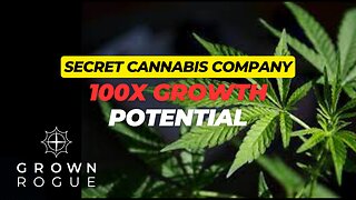Analysing A New Cannabis Company With Huge Potential (Grown Rogue Expansion Plans & Big Upside)