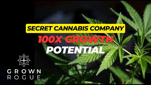 Analysing A New Cannabis Company With Huge Potential (Grown Rogue Expansion Plans & Big Upside)