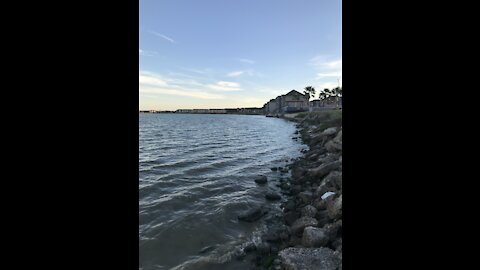 Bay Fishing With Mullet