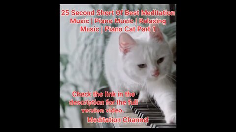 25 Second Short Of Best Meditation Music | Piano Music | Relaxing Music | Piano Cat Part 1 #shorts