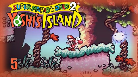Yoshi's Island (Touch Fuzzy) Let's Play! #5