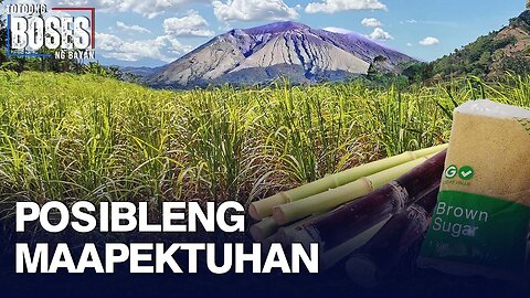 Produksyon ng asukal, posibleng maapektuhan sa pagputok ng bulkang Kanlaon