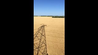 Wheat Harvest-first cut