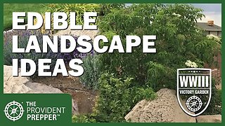 WWIII Victory Garden: High Desert Edible Landscape and Productive Garden Design