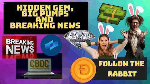 Top mid and big cap coins ready to PUMP, our HIDDEN GEM and BREAKING NEWS in the crypto community