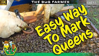 Easy Way To Mark Queens | Removing Heaters |White and Blue Inspection | #beekeeping #insects #bees