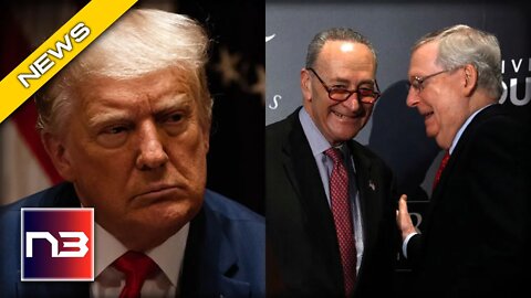 MAGA Purge Begins As Top Swampers Schumer and McConnell Join Forces To Crush The Will of The People