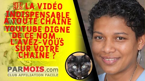 📽 La vidéo INDISPENSABLE à toute chaîne Youtube digne de ce nom... L'avez-vous sur votre chaîne ?