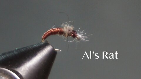 Al’s Rat