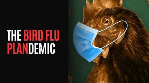 The Bird Flu Plandemic