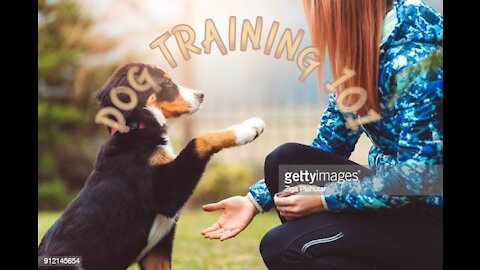 DOG TRAINING FUNDAMENTALS: LESSON 1