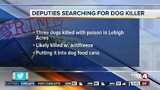 Suspect killing dogs in Lehigh Acres