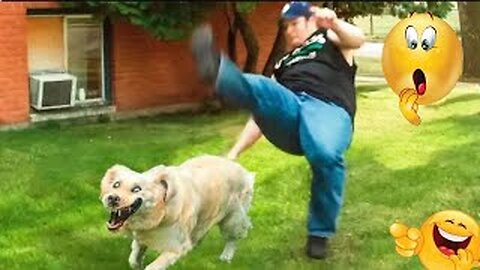 You Can't-Miss ' Crazy Dogs Funny Moments 2024😂