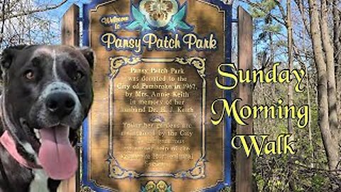 Morning Stroll Through Pansy Patch Park ASMR #asmr #nature #peaceful