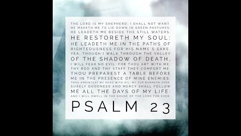 Psalm 23 "The Shepherd’s Care for His Sheep" 'Dedicated2Jesus' Rumble Video Platform
