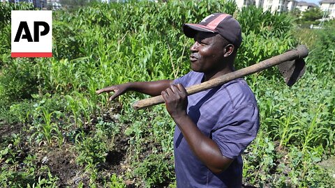 Farmers in Africa say their soil is dying and chemical fertilizers are in part to blame| VYPER ✅