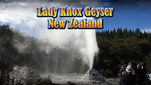 Lady Knox Geyser, Wai-O-Tapu Geothermal Wonderland- New Zealand