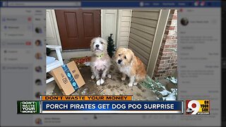 Family fights porch pirates with box of dog poo