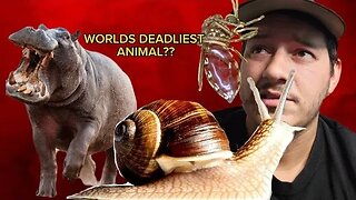 What Is the DEADLIEST Animal on Earth??