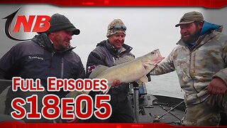 Season 18 Episode 5: Summer Smash for Monster Glide Bait Walleyes