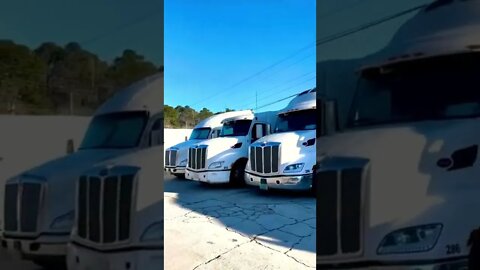 Southeastern USA Trucking Positions Local & OTR | Collins Trucking Co #short #shorts #trucking