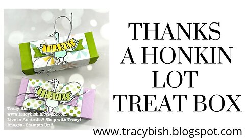 How to Create a Thanks Treat Box using the Silly Goose stamp set.