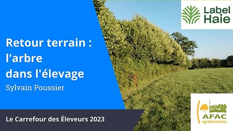 L'arbre dans l'élevage, un projet en routine, Sylvain Poussier