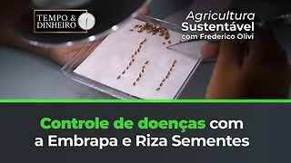 Controle de doenças com a Embrapa e Riza Sementes