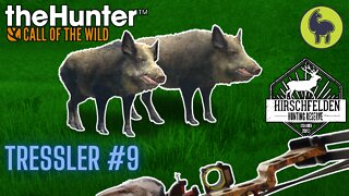Tressler #9 Hirschfelden | theHunter: Call of the Wild (PS5 4K)
