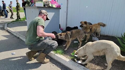 Feeding hungry dogs of Mariupol