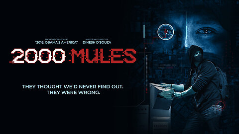2000 MULES The Movie... more applicable than ever. In case you missed it....
